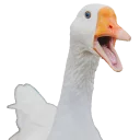 😱 emoji Hysteric birds by @eternalduck Telegram sticker 8 of 83
