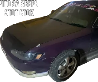 Sticker from Markusha