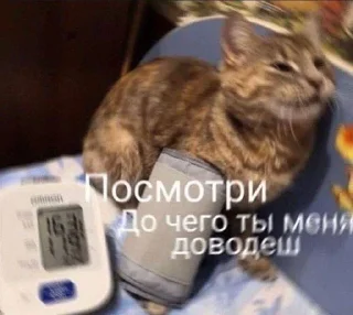 🥲 emoji дурачки Telegram sticker 24 of 90