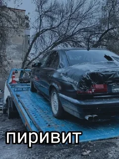 🙋 emoji Беха санька Telegram sticker 5 of 12