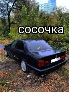 😏 emoji Беха санька Telegram sticker 6 of 12