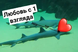 ❤️‍🔥 emoji Зайчики🐰 Telegram sticker 13 of 15