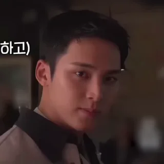 😌 emoji Mingyu Telegram sticker 23 of 47