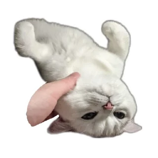 🌟 emoji Синя Telegram sticker 6 of 66