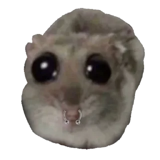 👃 emoji Homi4ok 2 Telegram sticker 22 of 105