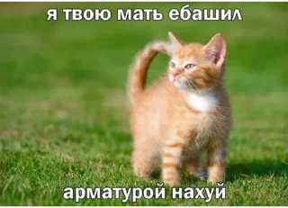 ☺️ emoji душнила Telegram sticker 19 of 37