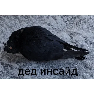 👍 emoji Жизненные стикеры Telegram sticker 9 of 50