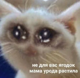 Sticker from ь