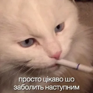 Sticker from Малі іванчики