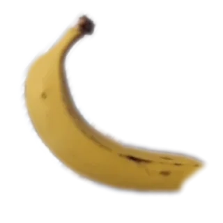💪 emoji Стики влада Telegram sticker 12 of 53