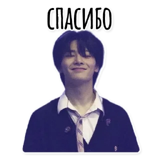 🥰 emoji Stray Kids @hello_unnie Telegram sticker 2 of 37