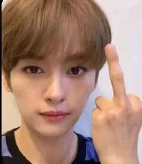 🌟 emoji Stray kids Minho Telegram sticker 8 of 19