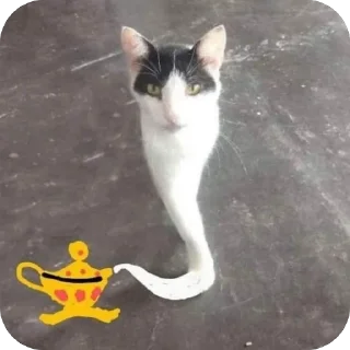 🫥 emoji Kittens??? Telegram sticker 12 of 78