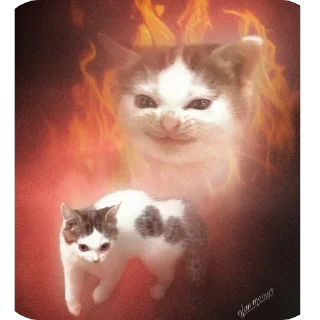 🫥 emoji Kittens??? Telegram sticker 24 of 78