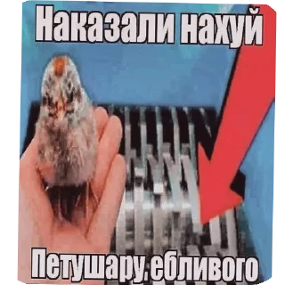 🥰 emoji Стас квадробер ебучий Telegram sticker 8 of 56