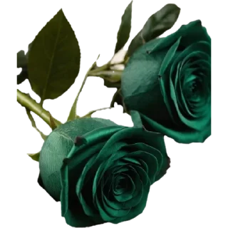 🌟 emoji 🌷🌿『Цветочки 』🍃💐 Telegram sticker 17 of 25