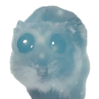 🐱 emoji Хомячки Telegram sticker 9 of 37