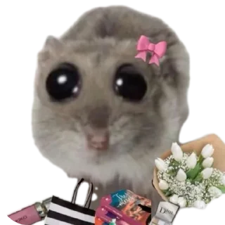 🐱 emoji Хомячки Telegram sticker 7 of 37