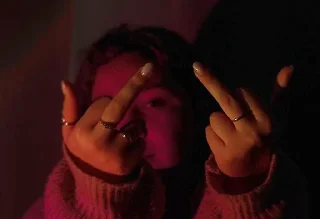 🖕 emoji какая то Ариша Telegram sticker 10 of 25