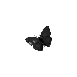 🌟 emoji Mad Damselfly Telegram sticker 8 of 20