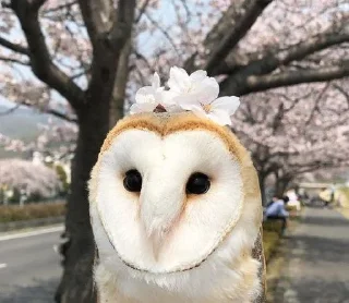 🩰 emoji обожаю этого админа.... Telegram sticker 5 of 67