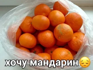 🍊 emoji малесенькі долоньки Telegram sticker 14 of 25