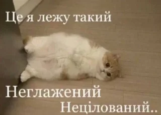 💔 emoji малесенькі долоньки Telegram sticker 11 of 25