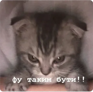 Sticker from фразочки