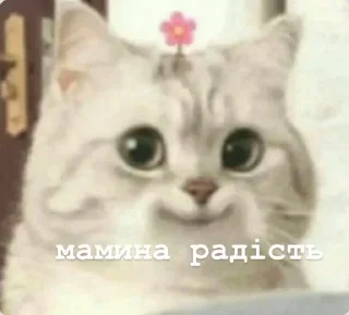 🌟 emoji фразочки Telegram sticker 19 of 42
