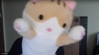 😺 emoji Сонічка🌻 Telegram sticker 10 of 92