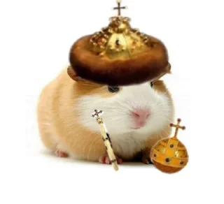 🐹 emoji ХоМяЧиЙ дВиЖ @soundsfromthevagina Telegram sticker 22 of 45