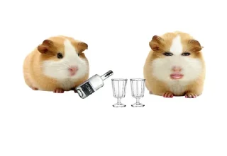 🐹 emoji ХоМяЧиЙ дВиЖ @soundsfromthevagina Telegram sticker 11 of 45