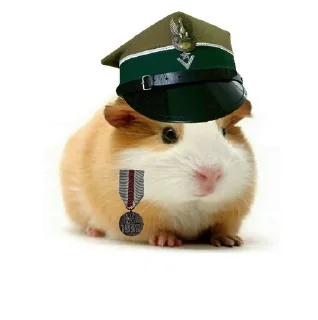🐹 emoji ХоМяЧиЙ дВиЖ @soundsfromthevagina Telegram sticker 21 of 45