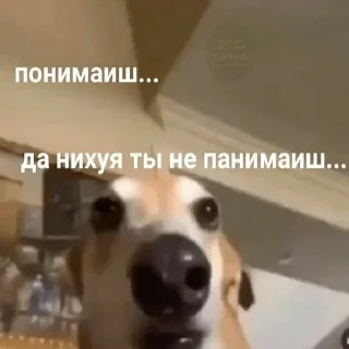 🙂 emoji мемы в реал лайф Telegram sticker 8 of 25