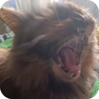 🤯 emoji Неон в реал лайф (@NEOENyoutube) Telegram sticker 12 of 37