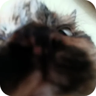👏 emoji Неон в реал лайф (@NEOENyoutube) Telegram sticker 8 of 37