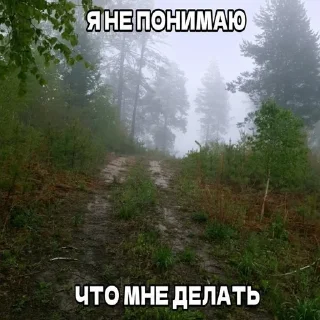 🥺 emoji ААААААААААХУЕТЬ Telegram sticker 23 of 120