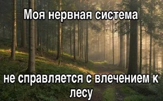 🌲 emoji ААААААААААХУЕТЬ Telegram sticker 21 of 120