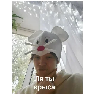 🐭 emoji Рыжие черти Telegram sticker 12 of 23
