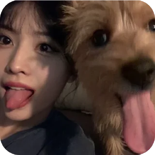 🐶 emoji ::𝑮𝑰𝑹𝑳 𝑮𝑹𝑶𝑼𝑷 𝑺𝑻𝑨𝑵 :: @cleololit Telegram sticker 19 of 69