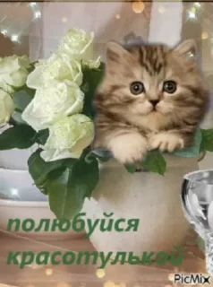 🌟 emoji болванчик порванный сарафанчик Telegram sticker 19 of 58