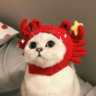 Sticker from Котя<3