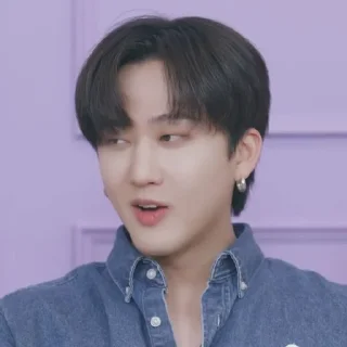 🪻 emoji ★ changbin |@skzstickersss Telegram sticker 6 of 30