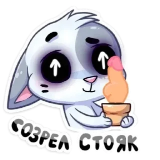 🥩 emoji бисквит @tgstickk Telegram sticker 14 of 26