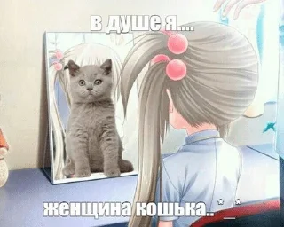 🌟 emoji тянкикоте @kuritmysli Telegram sticker 14 of 51