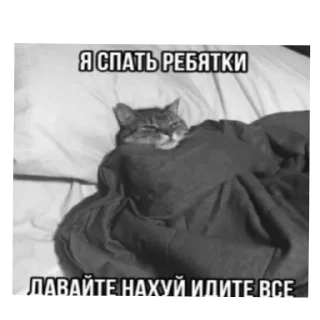 🐱 emoji пиздццц Telegram sticker 8 of 19