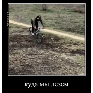 🚲 emoji локальные мемы вело триады Telegram sticker 24 of 68