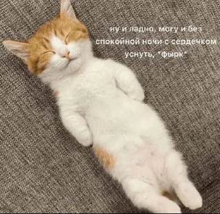 😴 emoji Cats Telegram sticker 19 of 35