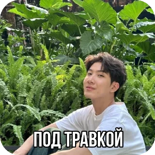 🪴 emoji кхао что Telegram sticker 5 of 13