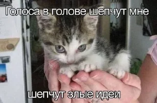 ❤️ emoji это жесть Telegram sticker 5 of 34